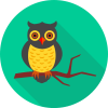 Articlesmaker.com_owl