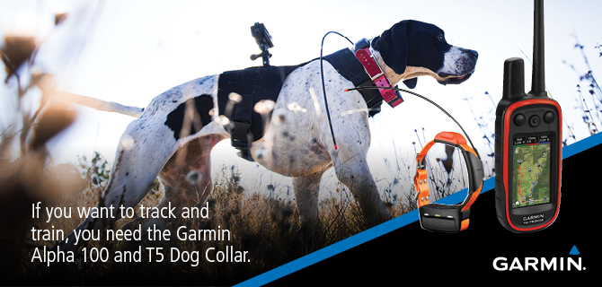 market-banners-alpha-100-T5-collar