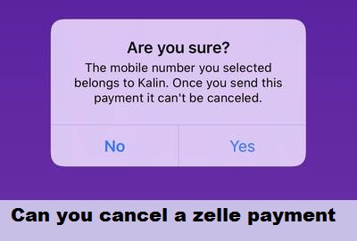 Once you complete the transaction in Zelle . Can it possible to cancel it.
