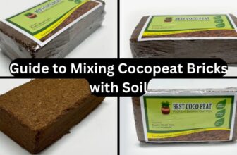 Best Cocopeat