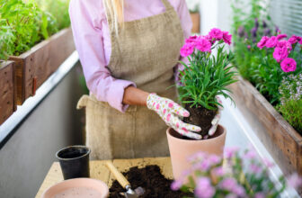 Springtime Plant Care: Key Tips for a Healthy Garden