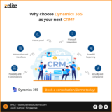 Unleash the Power of Dynamics 365 CRM: A Comprehensive Guide to Its Features