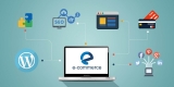 4 Things to Examine When Starting Ecommerce Web Development