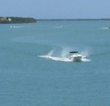 Thinking of Investing in Paradise?  Explore Sanibel Island Real Estate