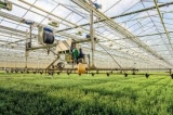 Advanced Farming Market Seeking Growth from Emerging  Markets, Study Drivers, Forecast till  2026