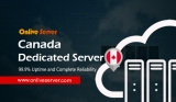 Host Your Attractive, Responsive Website with Canada Dedicated Server