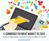 E-commerce Payment Market: Global  Size, Outlook, Trend and Forecast 2025