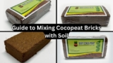 Guide to Mixing Cocopeat Bricks with Soil