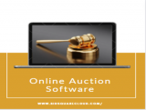 Go For Online Auction Software For Your Benefits.