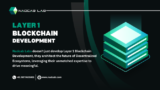 Unveiling Layer 1 Blockchain Development- Building the Foundation of Tomorrow’s Decentralized World
