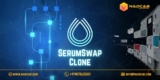 Serumswap Clone Development Company IN india