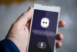 Mobile Phone Insurance Market Size and Share Research Report