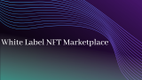 Launch your White label NFT Marketplace