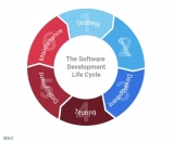 Devart Delivers the Best Info on Software Development Cycle