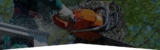 Best tree trimming Expert in Ottawa | Croft Tree Experts