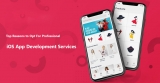 Top Reasons to Opt For Professional iOS App Development Services