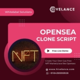 Create and Launch Your Own NFT Market Place Like Opensea