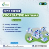 What are the merits of a Credit Cooperative Software?