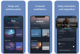 An Insight Into Top 5 Meditation Or Wellness Apps For 2022