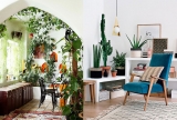 The Trends of Indoor Garden for You